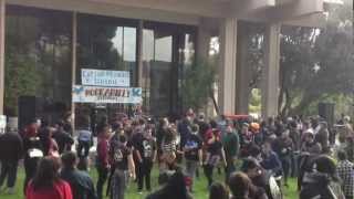 Gamblers mark - the cho incident