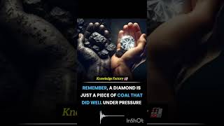 From Coal to Diamond The Science and Beauty Behind Nature’s Treasure