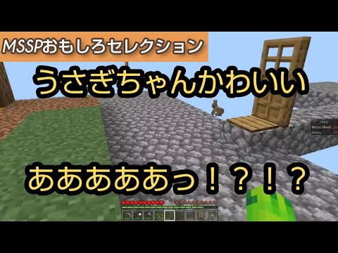 ウサギの飛び降りに悲鳴を上げまくるきっくん[MSSP切り抜き]