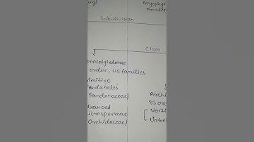 Engler and prantl classification system