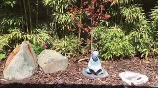 Chez Rockney - our Zen garden - on Labor Day Weekend 2016! by Kathleen Rockney 24 views 7 years ago 1 minute, 30 seconds