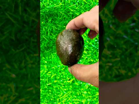 A Ram Sam Sam Chiki Toonz part1 🥚🍳🥦🫑🫛🌶️🥔#fyp #cutebaby #shorts