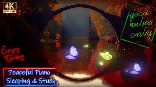 Megan Wofford - Delighted, Solo Piano Music, Peaceful Piano for Sleeping & Study, Calming Music