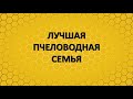 Конкурс "Лучшая пчеловодная семья России 2021г"