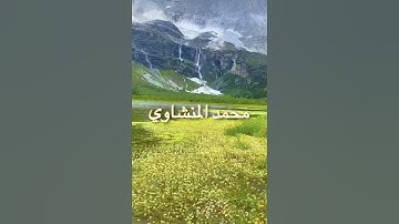 /يا عبادي لا خوف عليكم اليوم /مقطع قران قصير تلاوة خاشعة من روائع الشيخ محمد المنشاوي