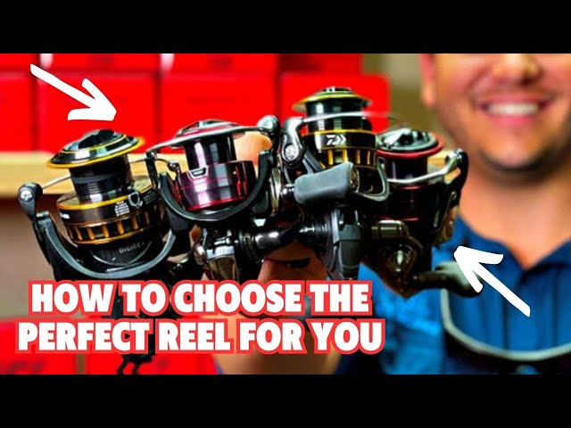 How To Choose The Perfect Fishing Reel Based On Needs & Budget