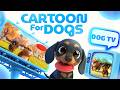 Cartoons for Dogs to Watch 🐶 | Relaxing Dog TV for Home Alone &amp; Calm
