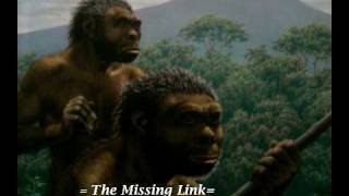 Java Man: The Missing Link (smaller resolution, MPEG4)