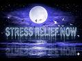Master Your Focus through STRESS RELIEF NOW (NO ADS)