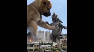 Tiny Dog vs. Giant Monster: You Won't Believe Who Wins!