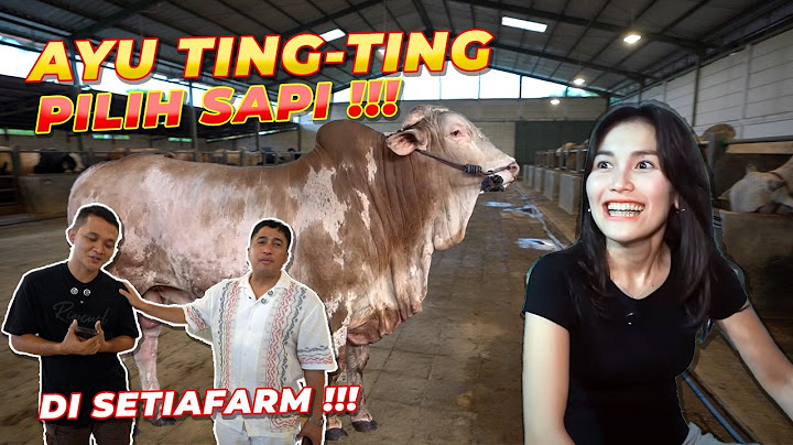 ABIS KELILING RUMAH..! AYU TING-TING LANJUT PILIH SAPI DI SETIA FARM JAWA BARAT..!!