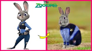 Zootopia ? Real Life