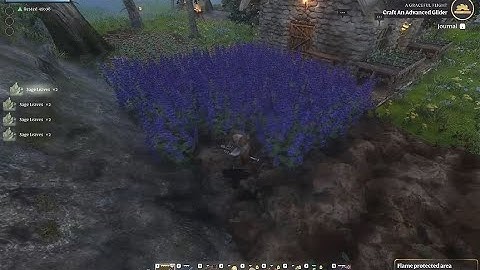 Enshrouded key macros: one keypress harvesting demo