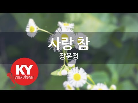 사랑 참 장윤정 KY 97956 KY 금영노래방 KY Karaoke