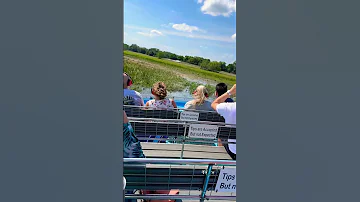 Fun Airboat Ride In Kissimmee Florida At Gator Airboat Rides Swamp Boat 