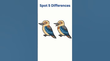 Spot 5 Differences#415