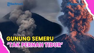 GUNUNG SEMERU TAK PERNAH TIDUR❗ERUPSI HINGGA PAGI 26 NOVEMBER