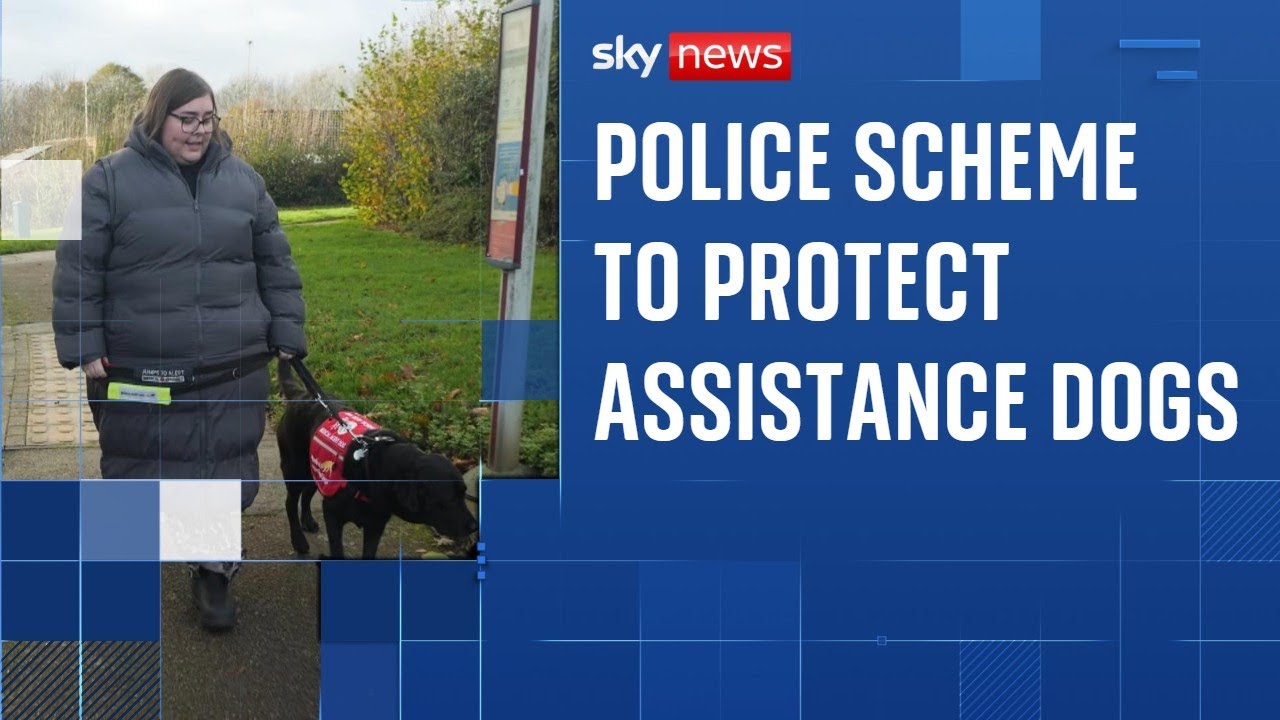 Calls for UK police forces to do more to protect assistance dogs from attacks