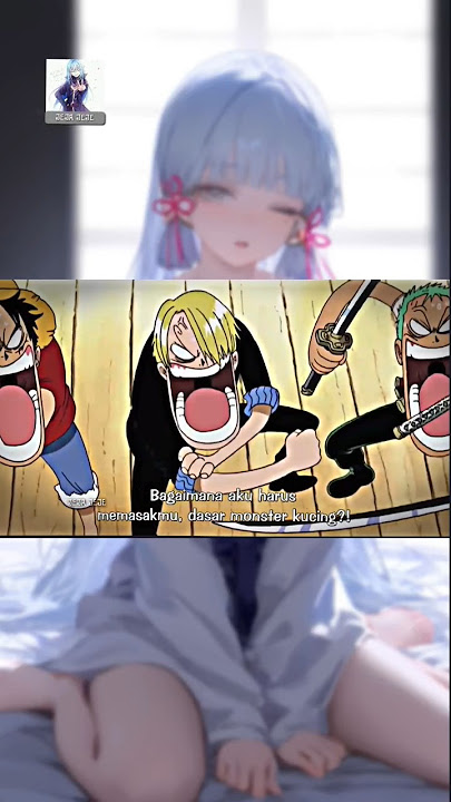 JJš„ Kelakuan Lawak Luffy Zoro Sanjiš | Djš¶ Terek Bale || ONE PIECE