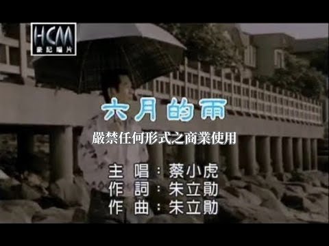 六月的雨 蔡小虎