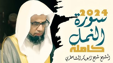 تأثر و خشوع تلاوة تأخذك في عالم آخر 😢/ الشيخ شيخ ابو بكر الشاطري | سورة النمل كاملة | 2024 | 1446