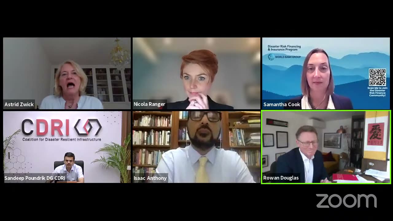 Disaster Risk Finance for Public Infrastructure Assets in the Developing World