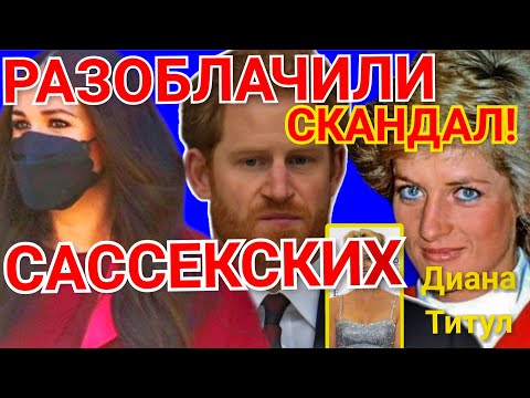 Видео: Меган Эллисоны цэвэр хөрөнгө: Вики, гэрлэсэн, гэр бүл, хурим, цалин, ах эгч нар