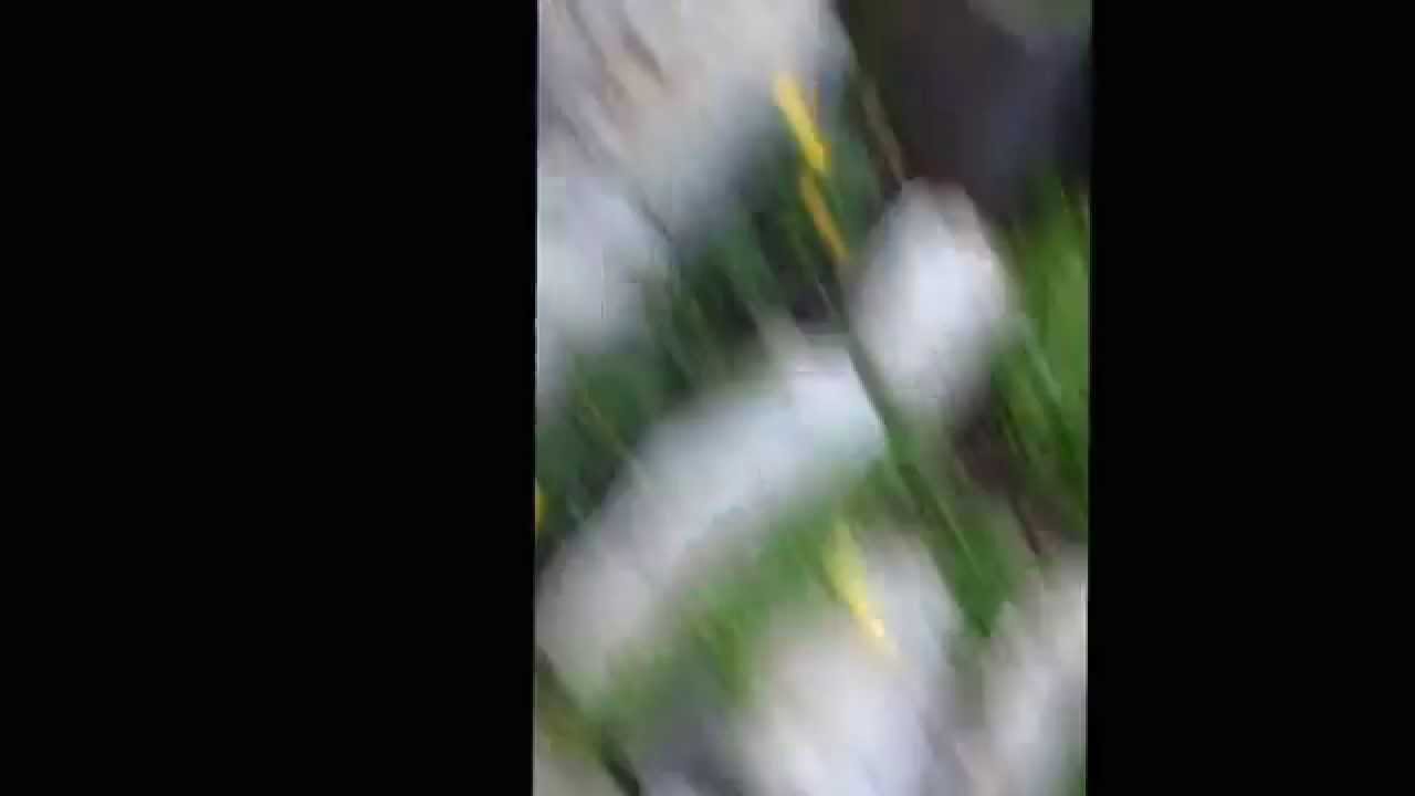 Slenderman Encounter (100% REAL) no photoshop nor editing.