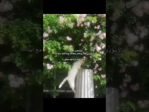 إنك ميت وهم مي تون لايك اشتراك اكسبلور لايك ترند المصحف دويتو الرحمن تيك توك الحمدلله