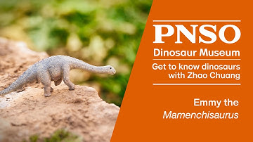 002 Emmy the Mamenchisaurus | Get to Know Dinosaurs with ZHAO Chuang