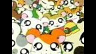 Hamtaro Theme Song
