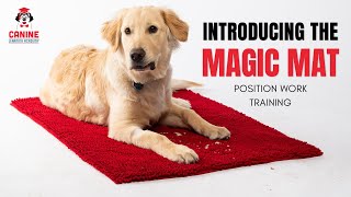 Introducing the Mat, for teaching your dog to Settle on The Magic Mat