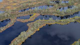 Häckelsängs högmosse och Gnagmur Naturreservat