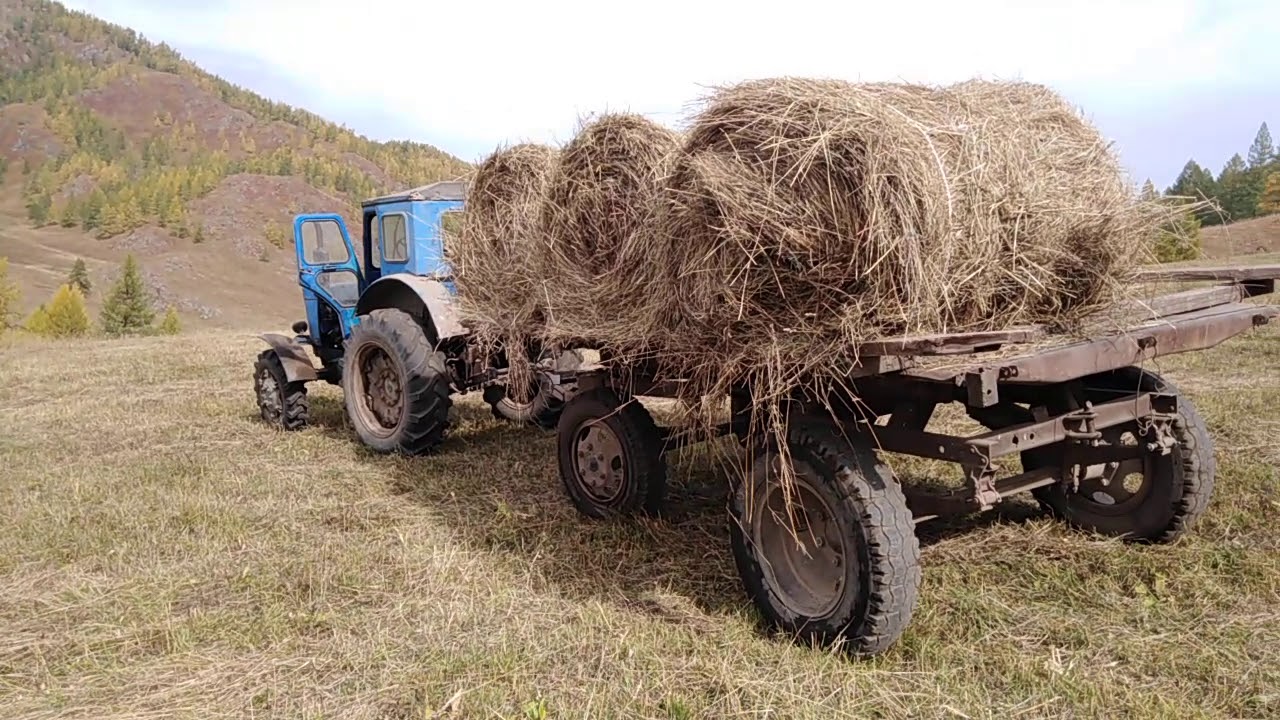Трактора Т-40 в горах Алтая. Уборка сена.