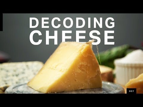 The microbial truth of how your cheese gets made