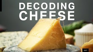 The microbial truth of how your cheese gets made
