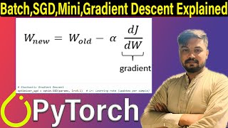 Coding Batch,SGD,Mini,Gradient Descent  in PyTorch: Step-by-Step Guide