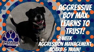 Chattanooga Dog Trainers  Aggressive Boy Max Learns To Trust!