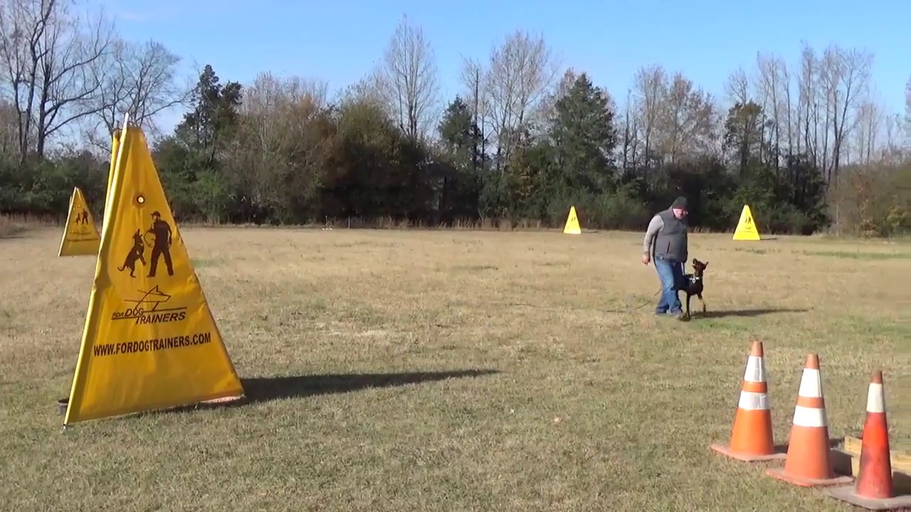 Becca training running Blinds 11.27.2018