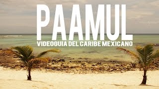 Paamul, Riviera Maya, Quintana Roo, México | Caribbean beach & reef