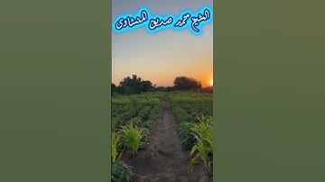 #المنشاوي_عبد_الباسط_عبد_الصمد_تلاوه_خاشعة #تلاوة_خاشعة #quran #قران_كريم #المنشاوي_الصوت_الباكى