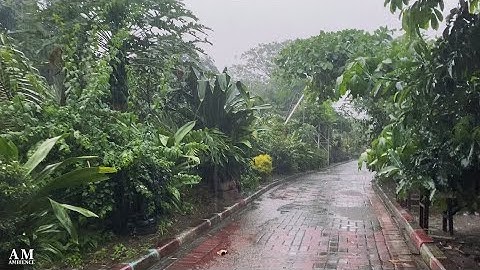 walking in the pouring rain in the afternoon in Central Java rural life