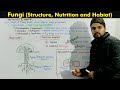 Kingdom Fungi (Fungi Structure, habitat and Nutrition)