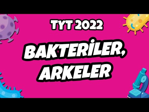 Video: Bakteriler Kemoheterotroflar mı?