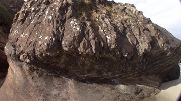 Seal rock mudfossil. part 2