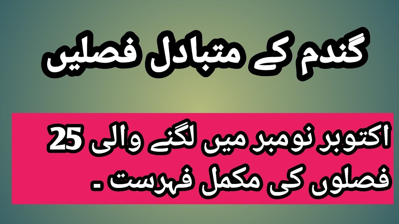 Complete information about 25 alternative crops to wheat.