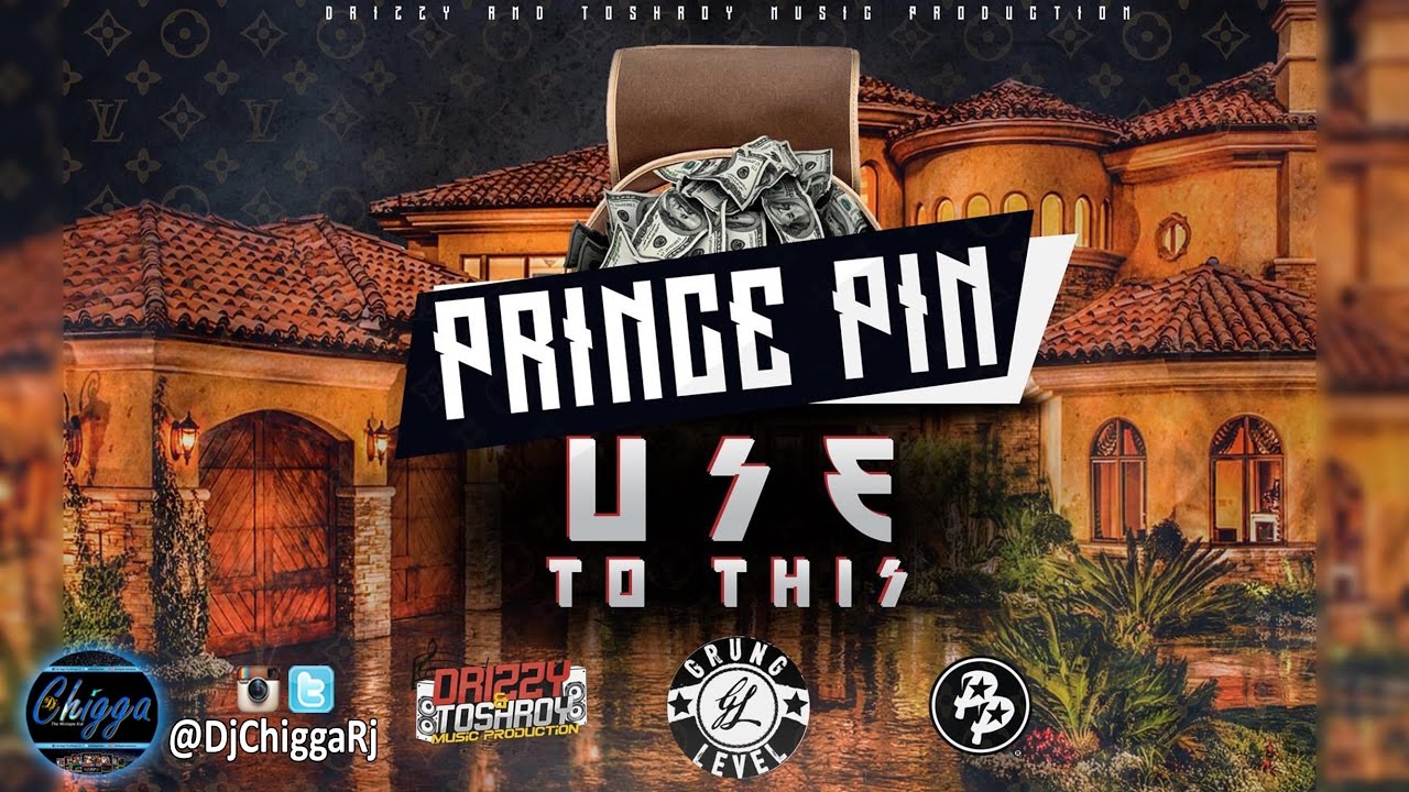 Prince Pin - Use To This (Remix)