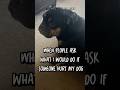 What would you do? #family #pets #bulldog #love