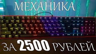 Обзор  механической клавиатуры за 2500 рублей