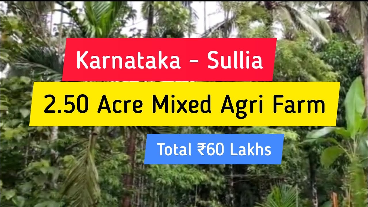 2.50 Acre Arecanut Rubber Coconut Farm For Sale Sullia Karnataka